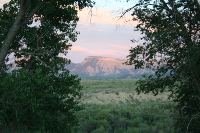 Sunset Shining on the Mesa to the East through the Trees